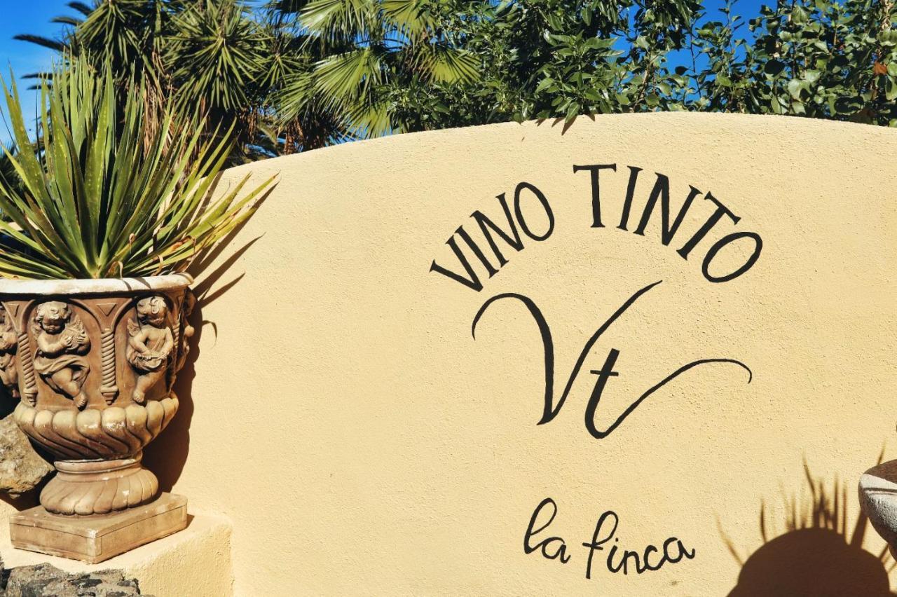 Finca Vino Tinto 5S イコー・デ・ロス・ビノス エクステリア 写真
